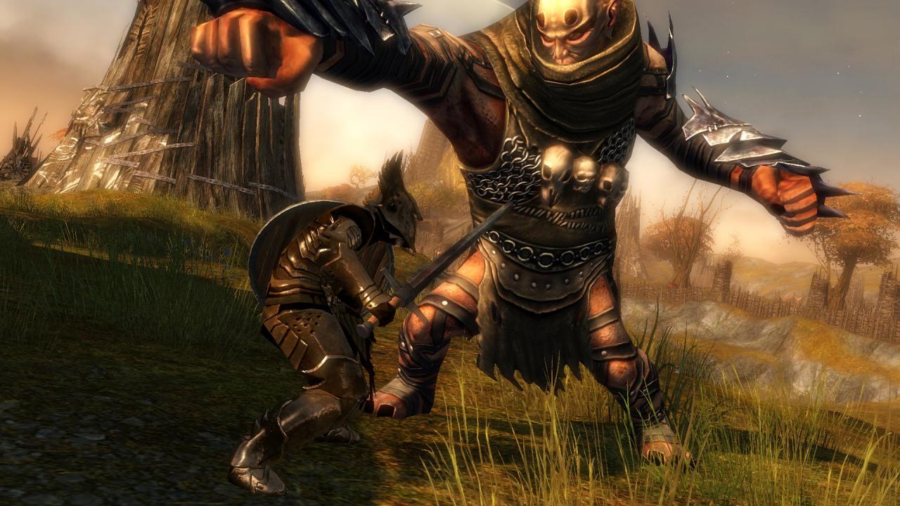 [20/08/2010] Gamescom 2010: Guild Wars 2 (30)