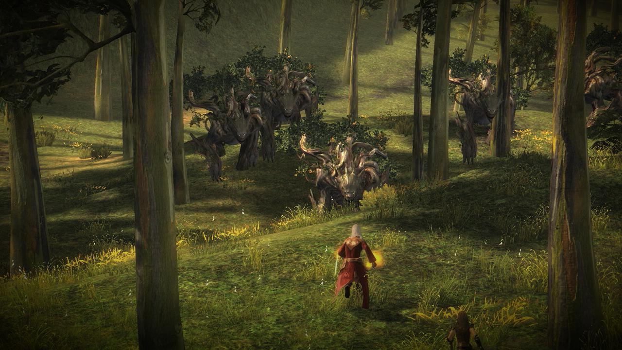 [20/08/2010] Gamescom 2010: Guild Wars 2 (33)
