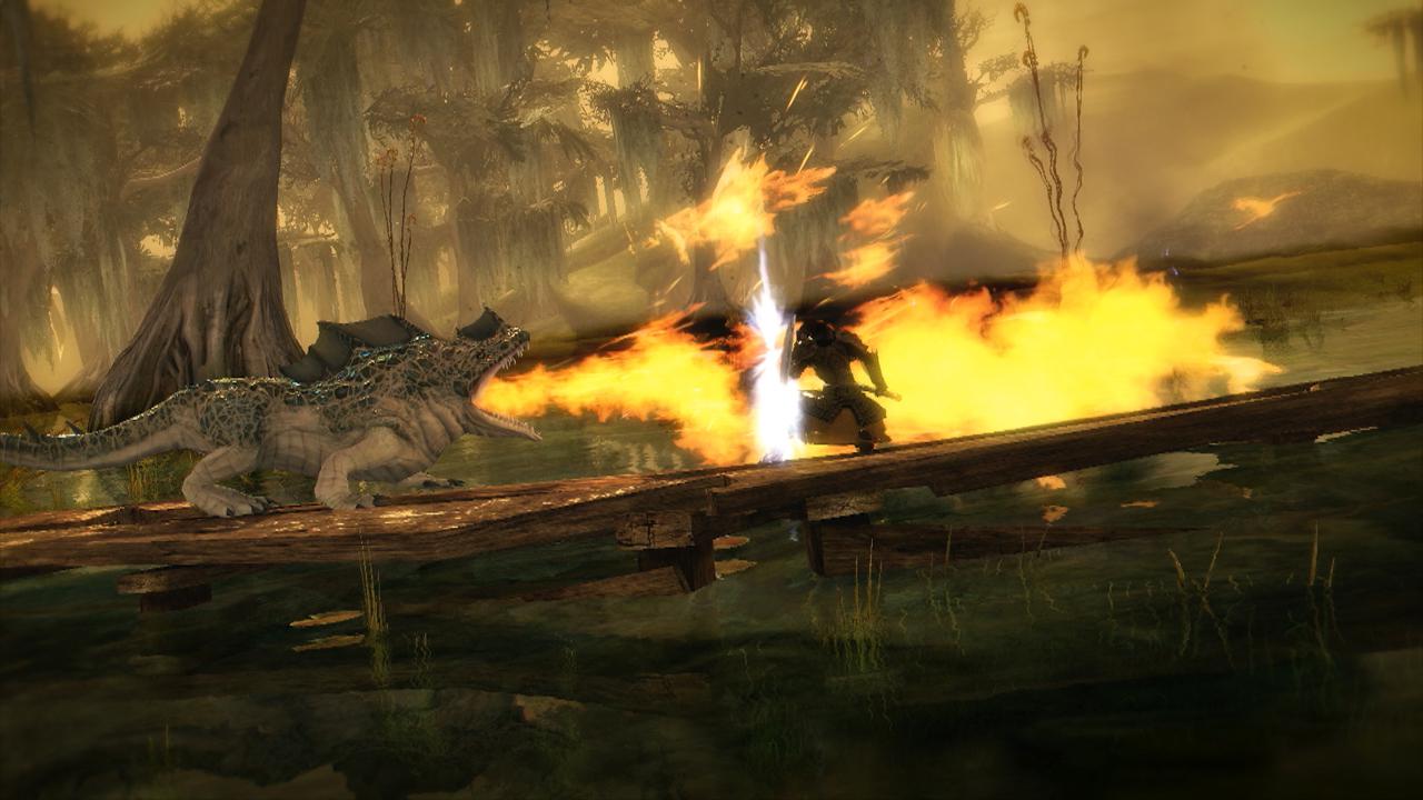 [20/08/2010] Gamescom 2010: Guild Wars 2 (35)