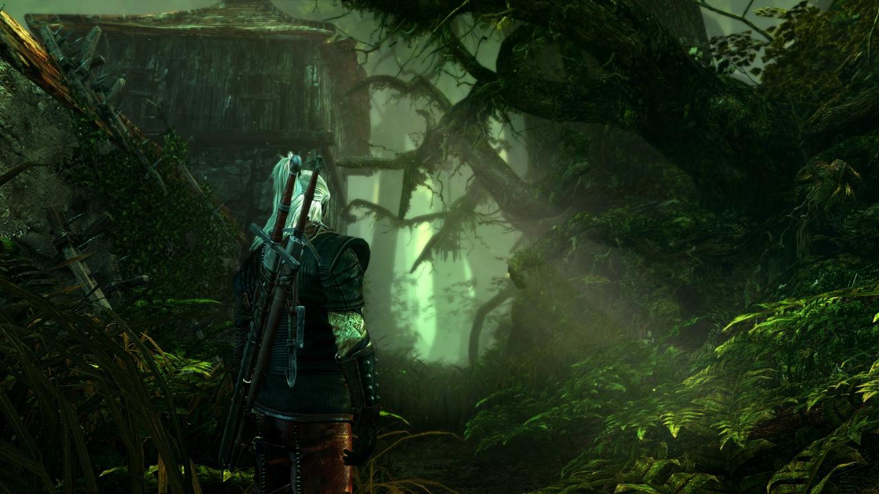 [19/08/2010] Gamescom 2010: The Witcher 2 - Meisterwerk für den PC - Screenshot-Update (19)
