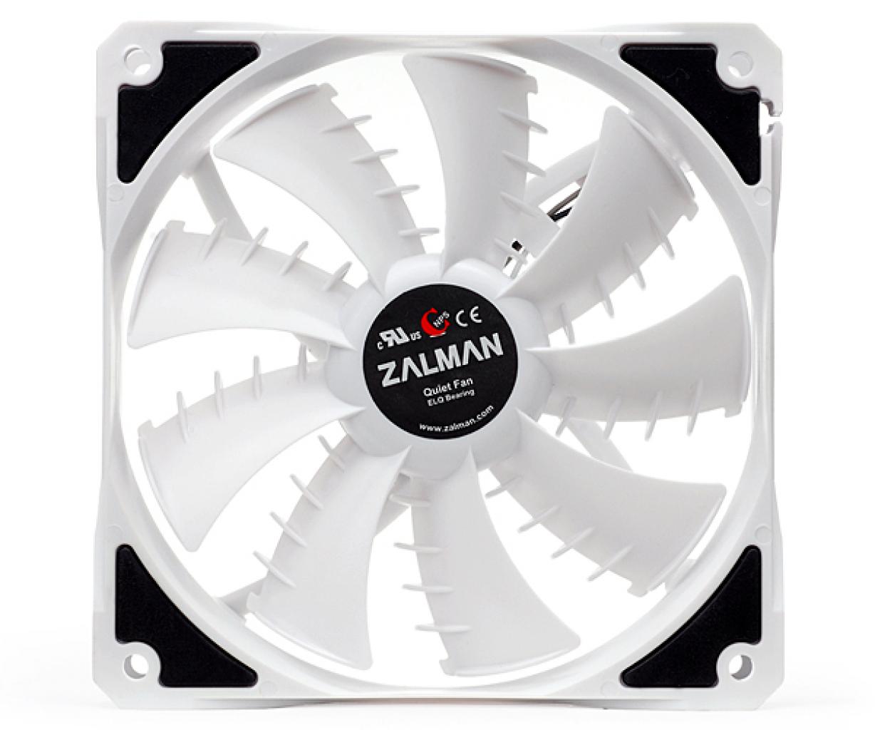 [11/08/2010] Zalman ZM-SF3 (1)