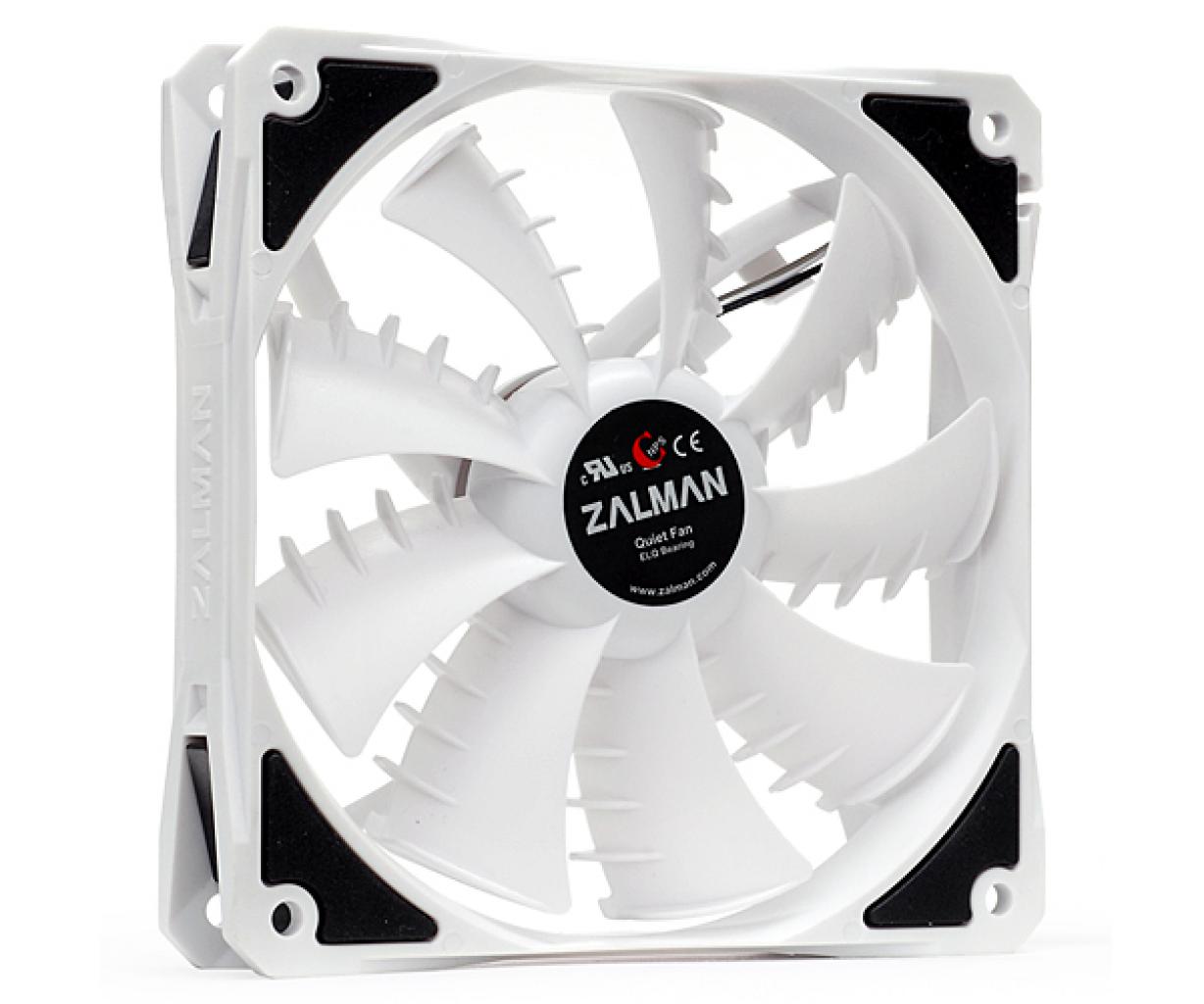 [11/08/2010] Zalman ZM-SF3 (2)