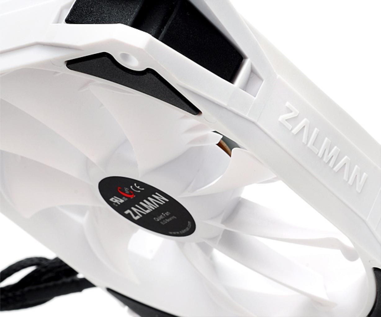 [11/08/2010] Zalman ZM-SF3 (3)