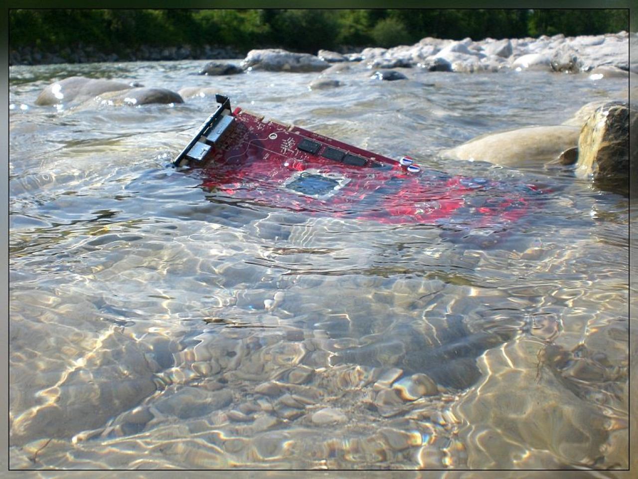 [27/08/2010] Update: Unter Wasser, in der Natur, in Flammen (21)