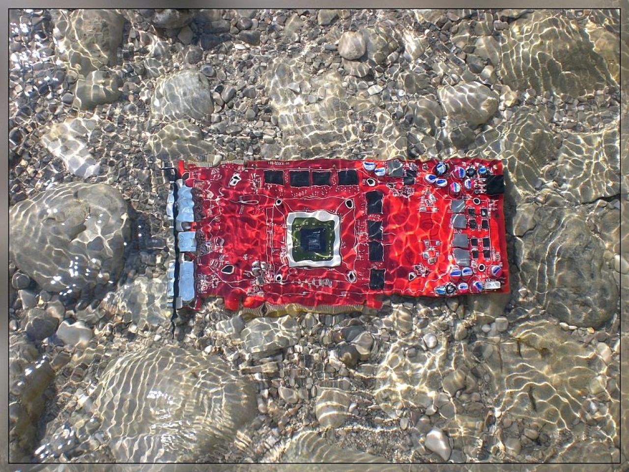 [27/08/2010] Update: Unter Wasser, in der Natur, in Flammen (22)