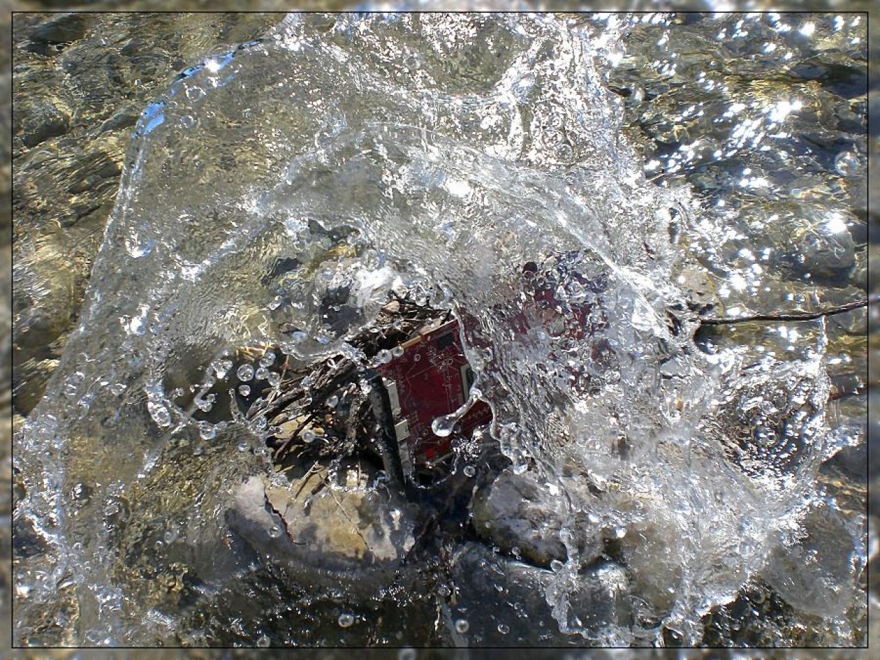 [27/08/2010] Update: Unter Wasser, in der Natur, in Flammen (35)