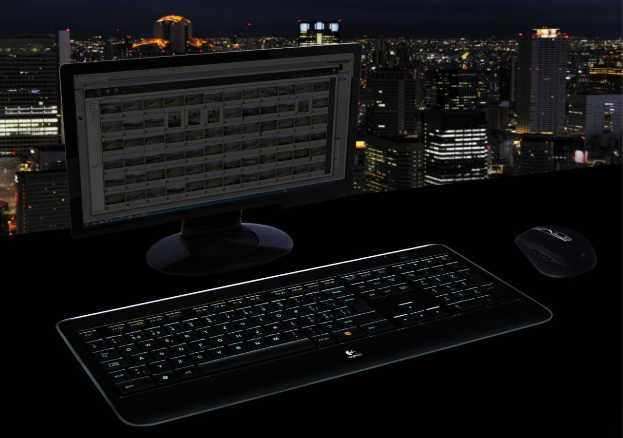 [18/08/2010] Logitech Wireless Illuminated Keyboard K800 (5)