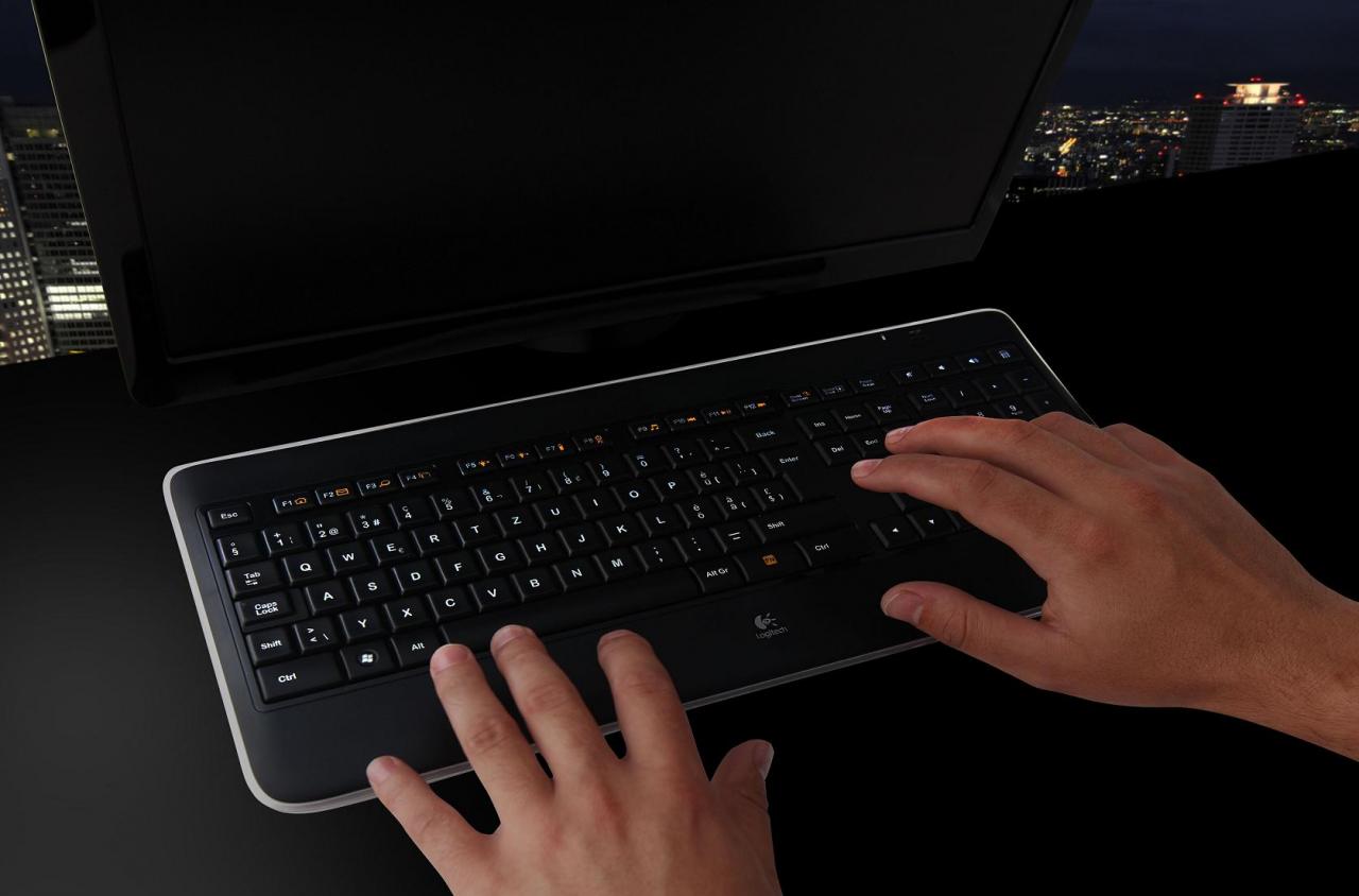 [18/08/2010] Logitech Wireless Illuminated Keyboard K800 (4)