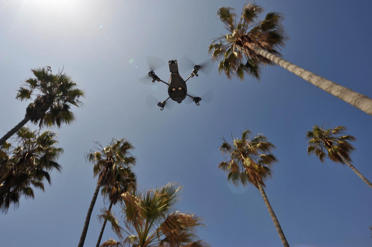 [18/08/2010] Parrot AR.Drone (4)