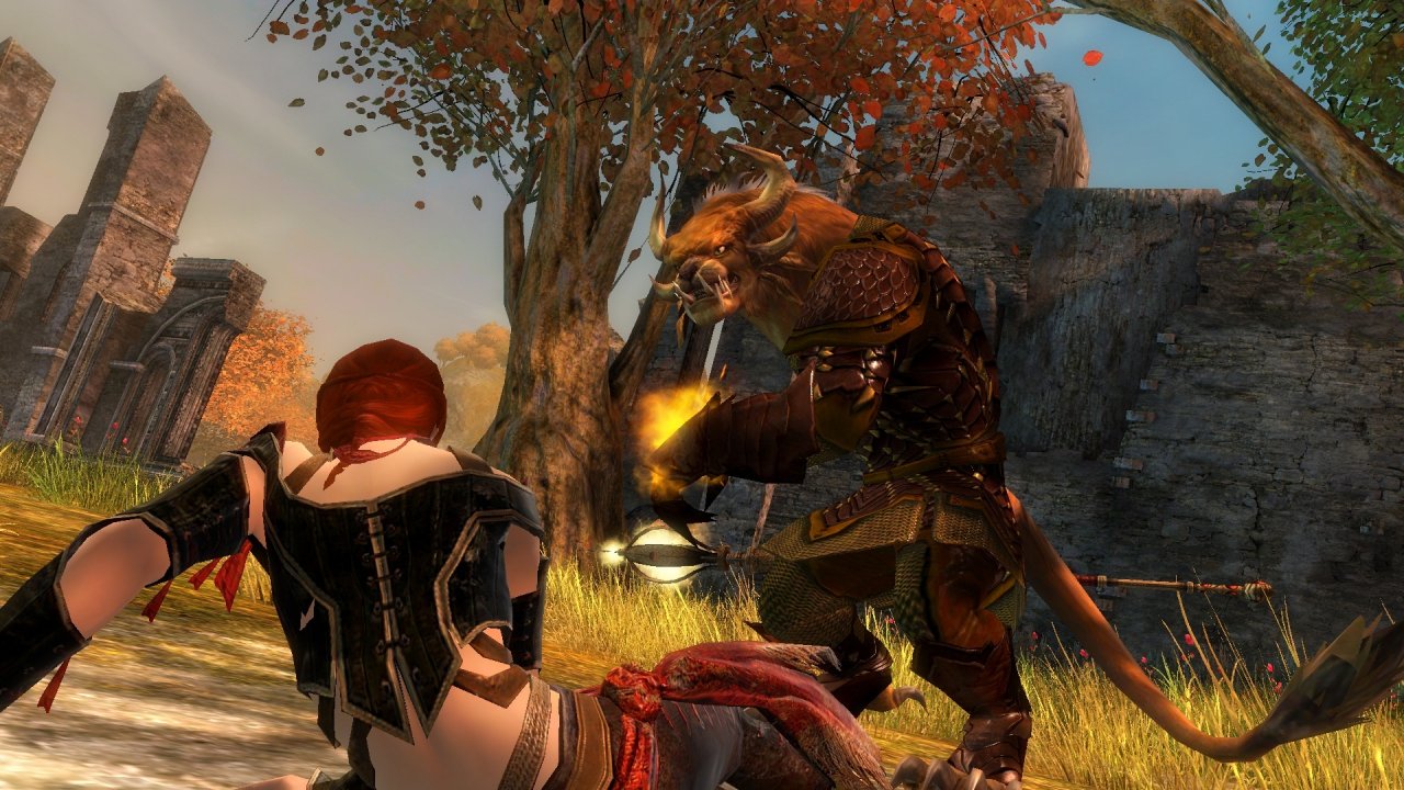 [20/08/2010] Gamescom 2010: Guild Wars 2 (34)