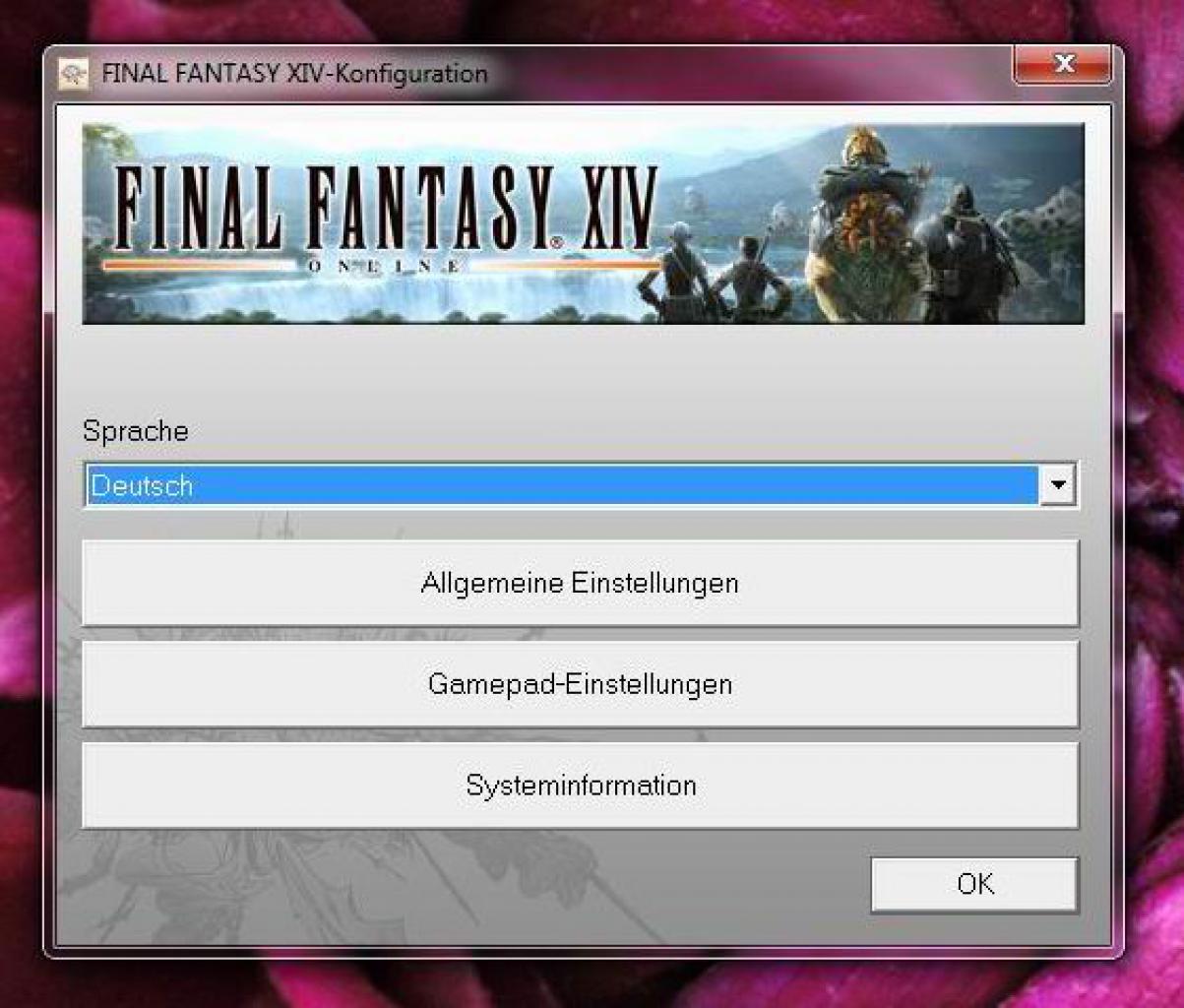 [13/09/2010] Die Konfiguration alles Optionen ist nur außerhalb des Spieles möglich. Die Steuerung ist auf Gamepads ausgelegt.