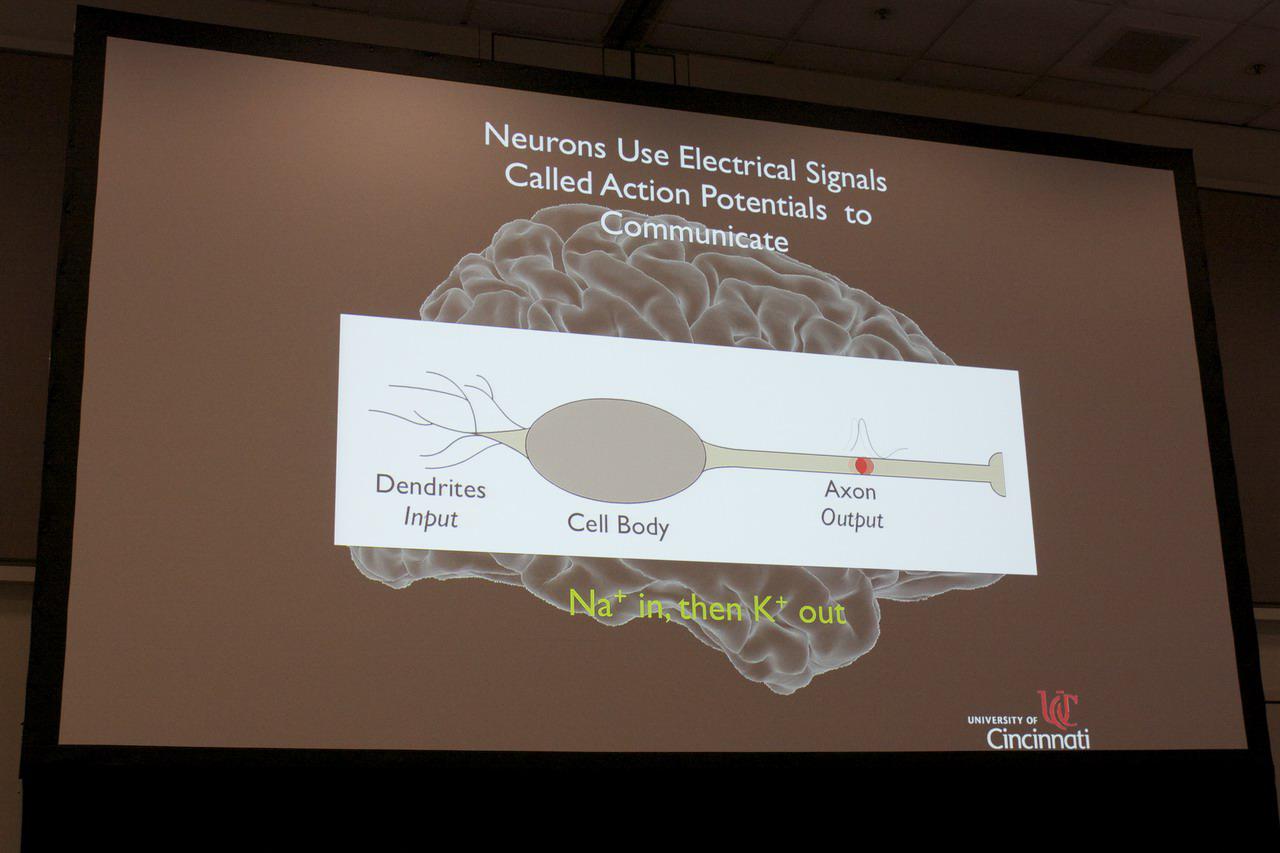 [29/09/2010] GTC 2010: Keine Science-Fiction mehr - Robotersteuerung per Gedankenkraft (4)