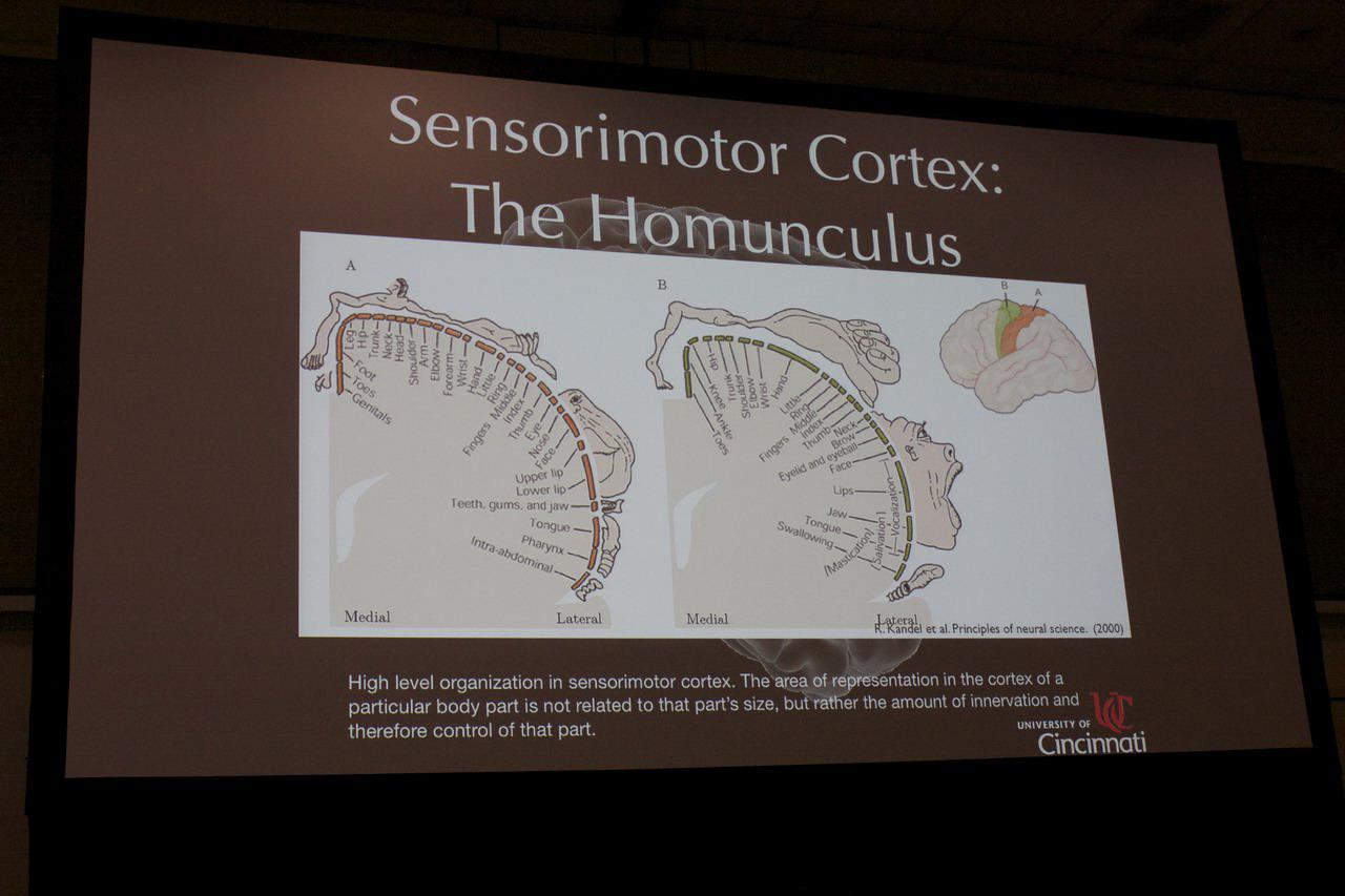 [29/09/2010] GTC 2010: Keine Science-Fiction mehr - Robotersteuerung per Gedankenkraft (11)