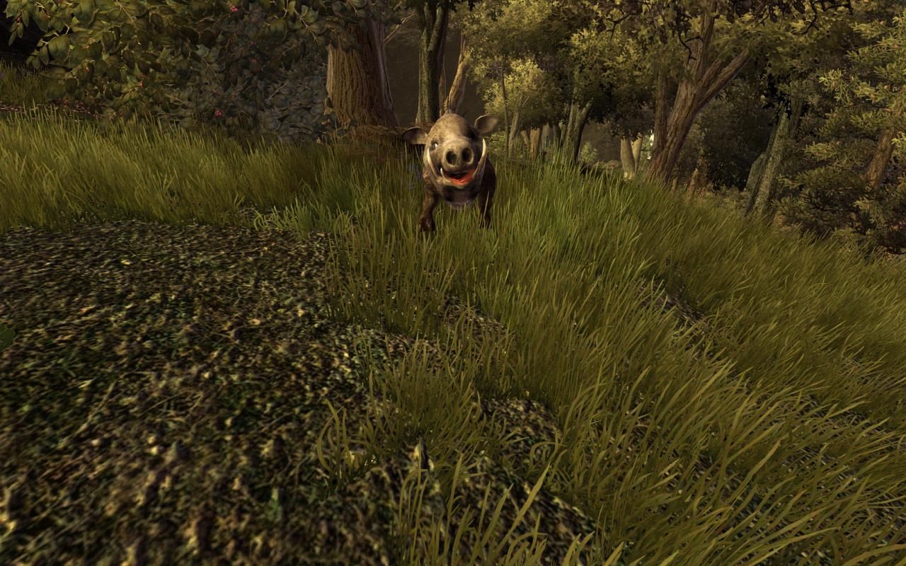 [24/09/2010] Gothic 3: Tiere wie dieses Wildschwein sind gut modelliert.