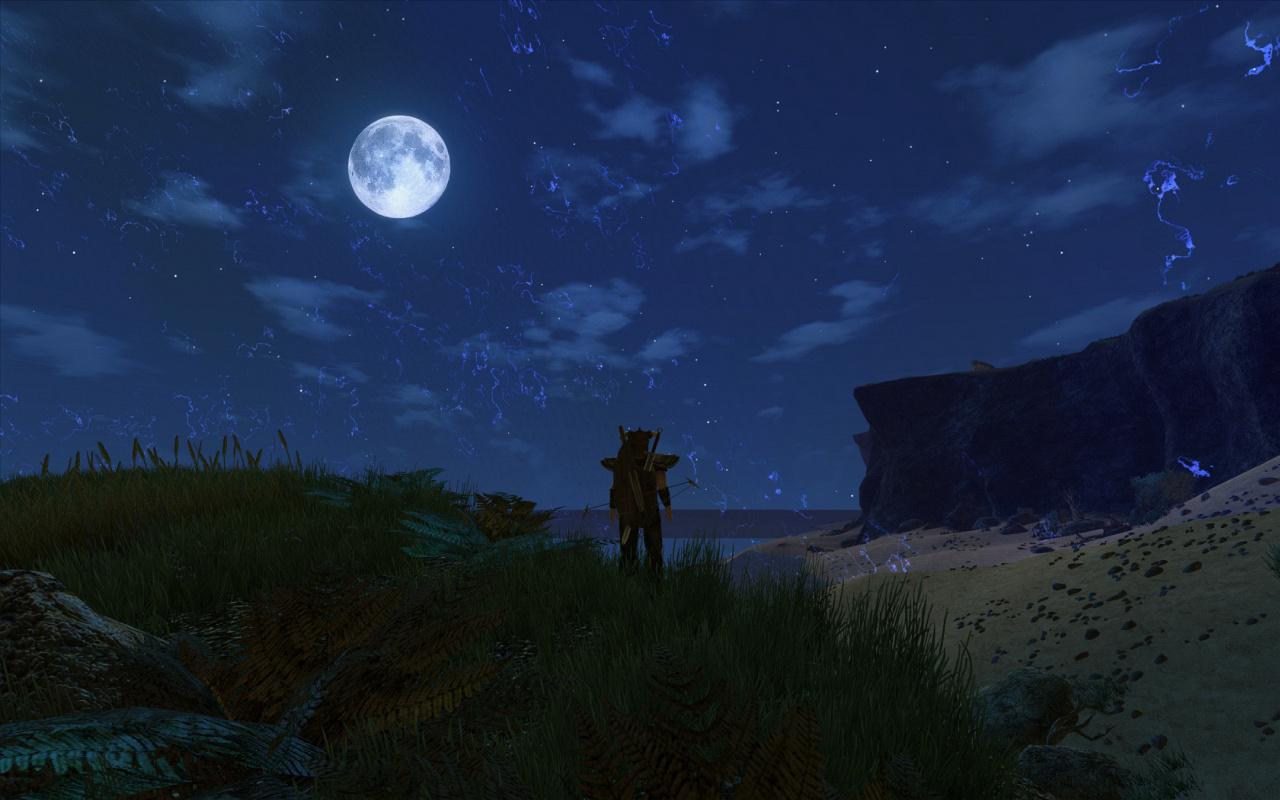 [24/09/2010] Gothic 3: Der Vollmond sieht hervorragend aus, die Nacht-Atmosphäre wirkt.
