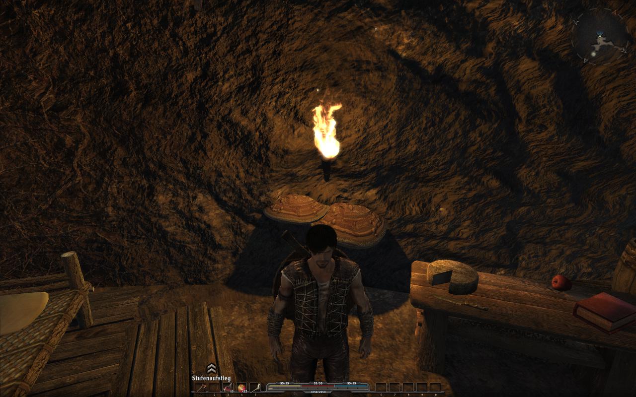 [23/09/2010] Arcania: Gothic 4 Demo, HD 5870, maxed (96)