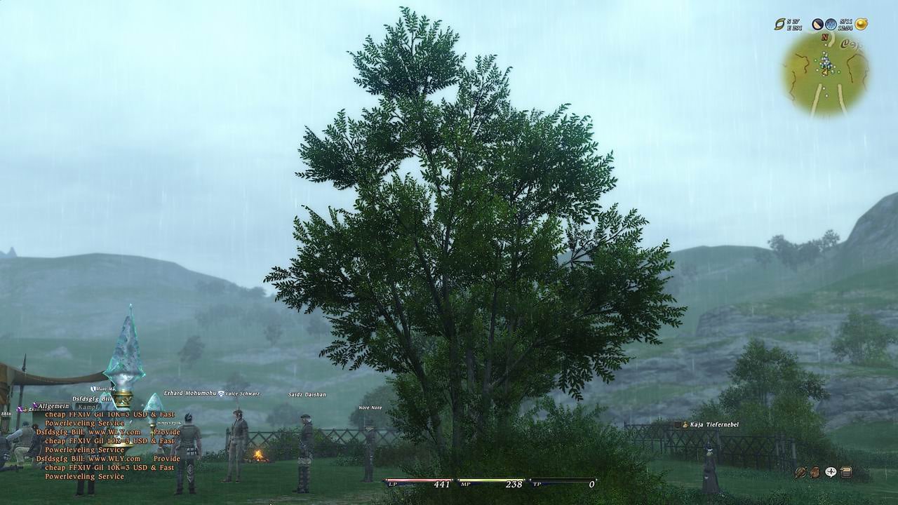 [13/09/2010] Final Fantasy 14: Eindrücke aus der Open-Beta (68)