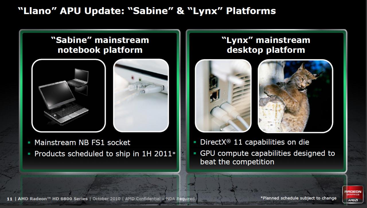[21/10/2010] Sabine- und Lynx-Plattform