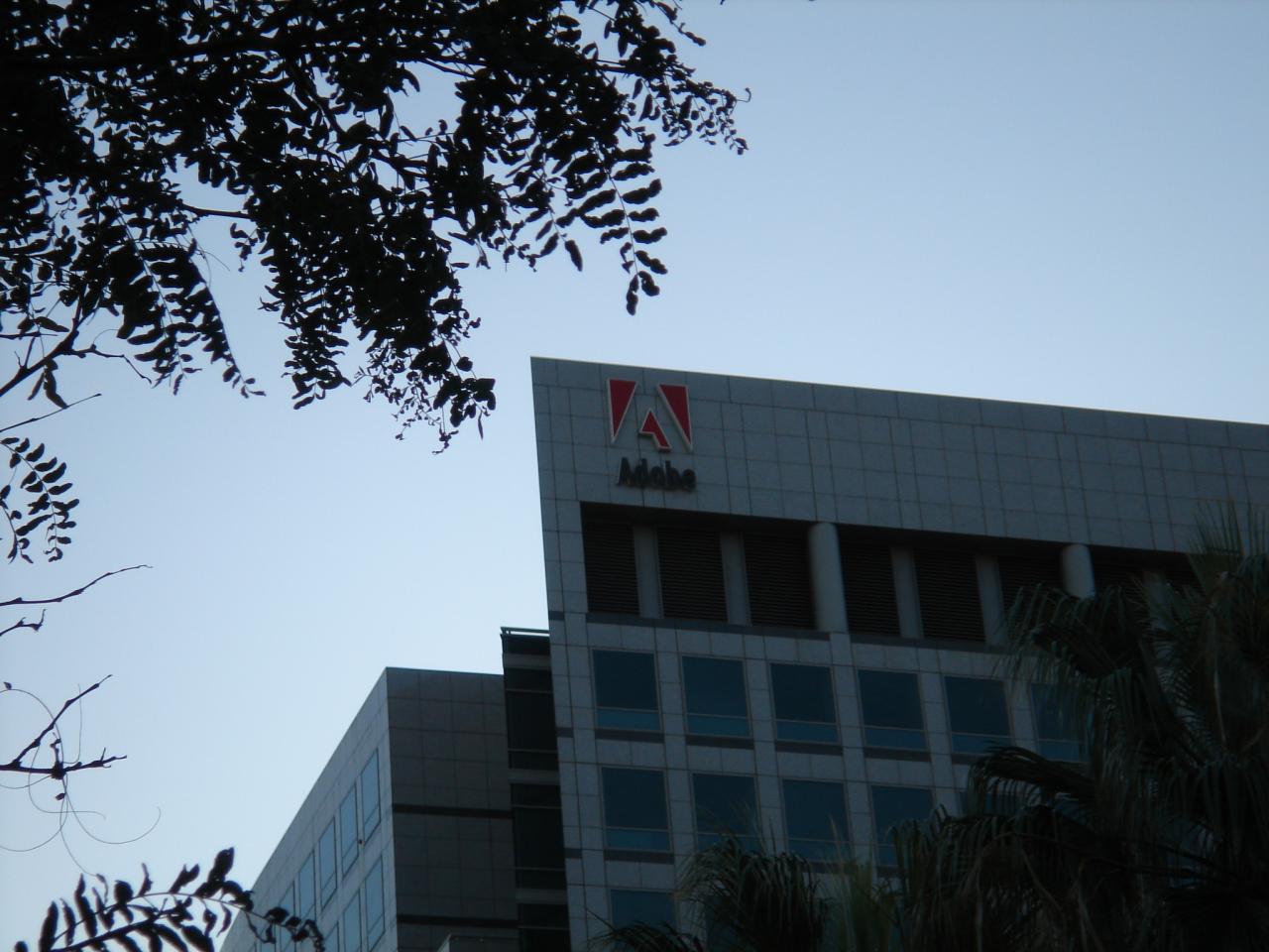 [08/10/2010] Microsoft und Adobe: Zusammenarbeit oder Übernahme? (2)
