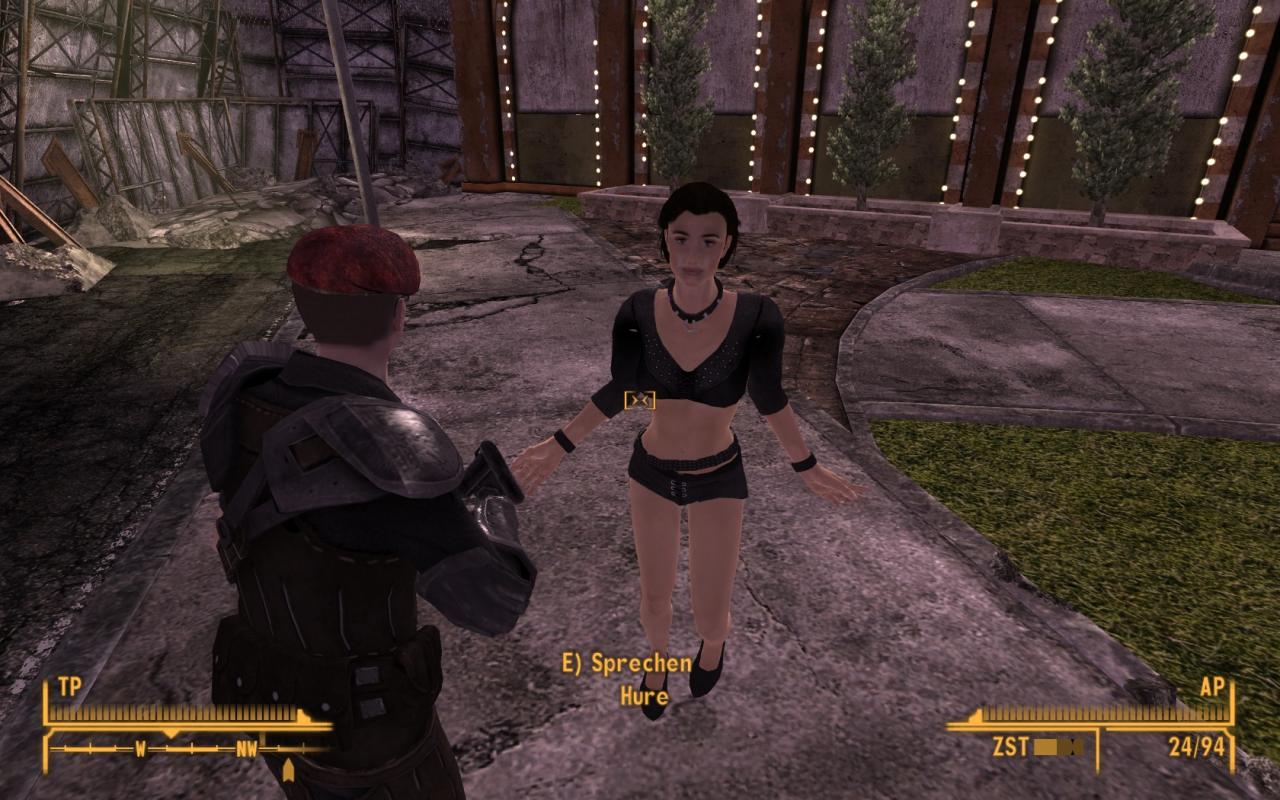 [22/10/2010] Fallout New Vegas - Flop: Detailarme Charaktere