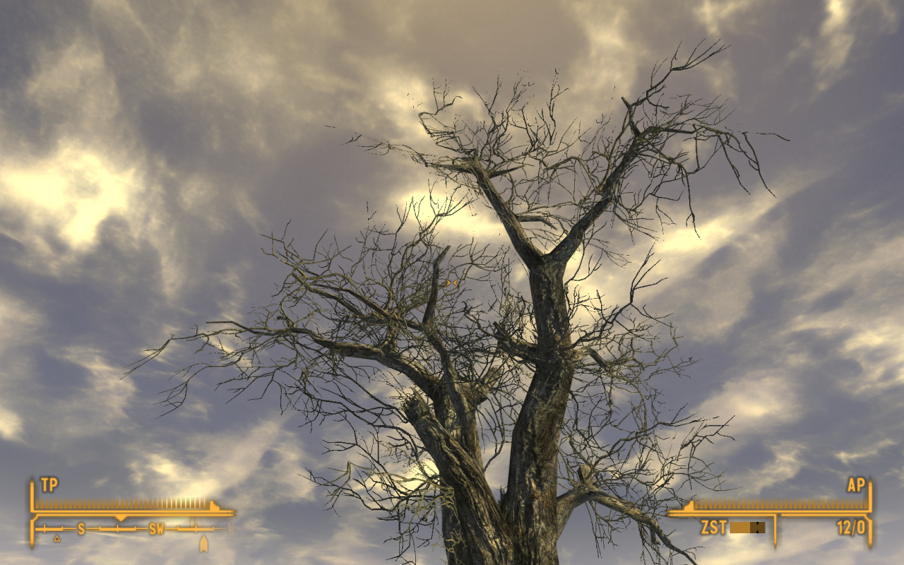 Fallout New Vegas - Transparenz MSAA aus