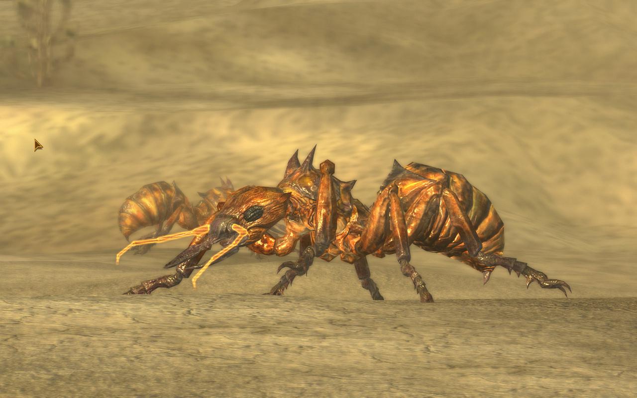 [25/10/2010] Fallout New Vegas (5)