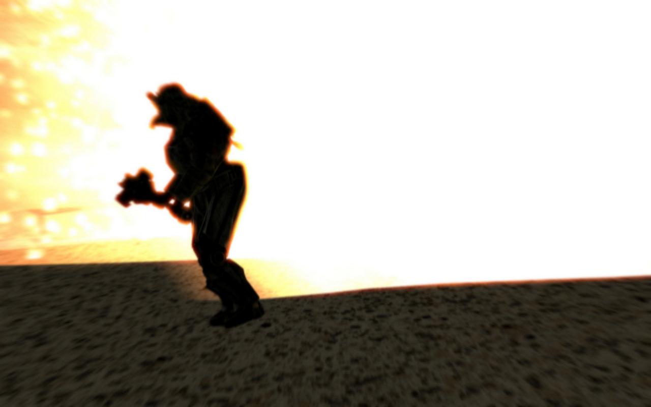 [25/10/2010] Fallout New Vegas (14)