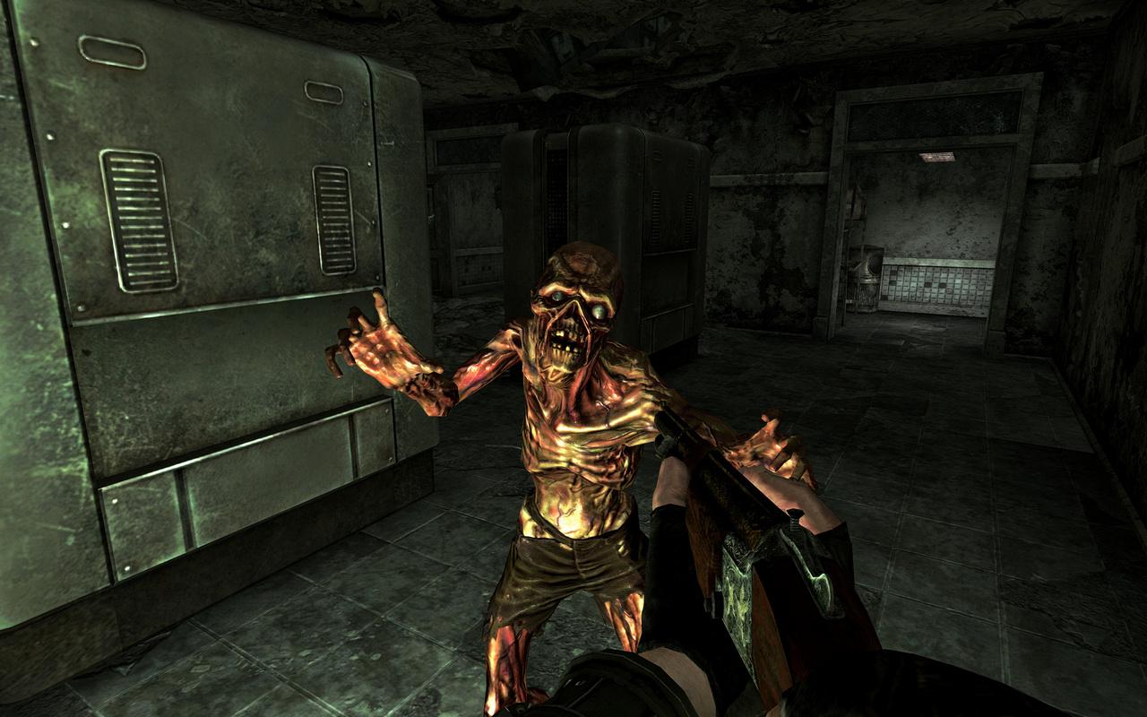 [25/10/2010] Fallout New Vegas (20)