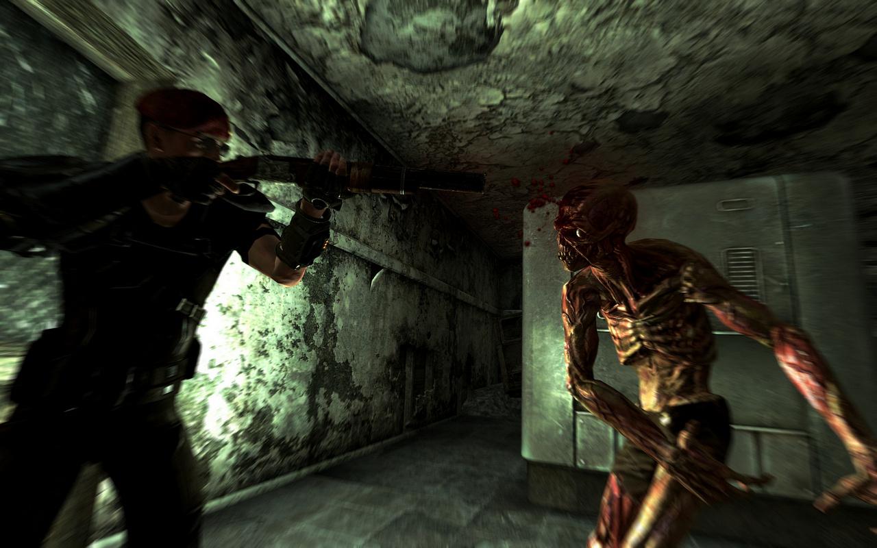 [25/10/2010] Fallout New Vegas (28)