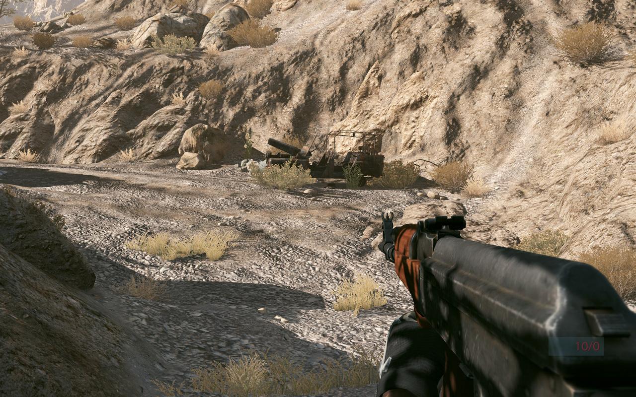 [12/10/2010] Medal of Honor (10)