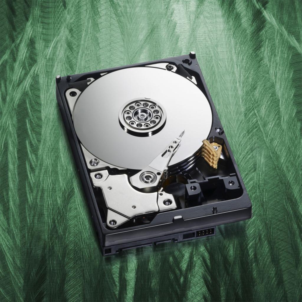 [19/10/2010] Beispielfoto WD Caviar Green
