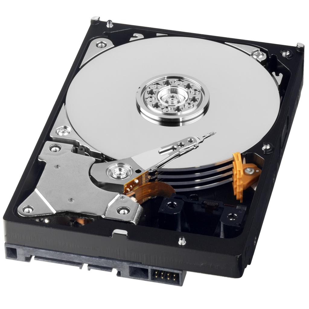 [14/10/2010] Beispielfoto: Western Digital Caviar Green (3)