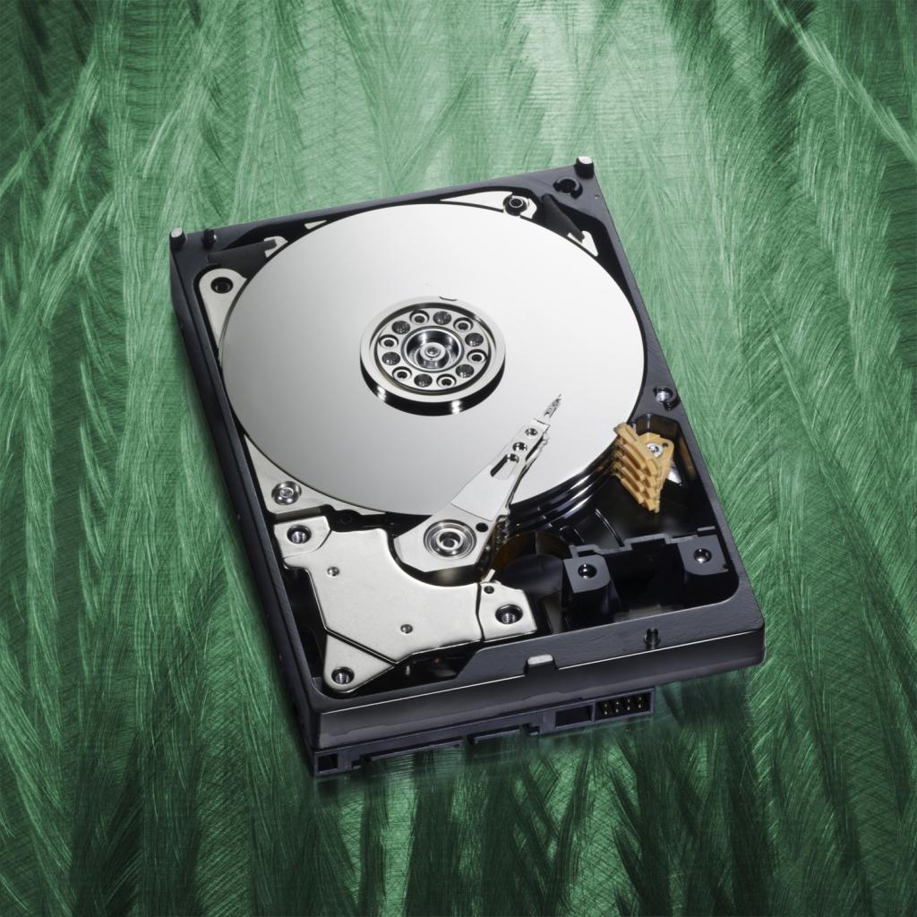 [14/10/2010] Beispielfoto: Western Digital Caviar Green
