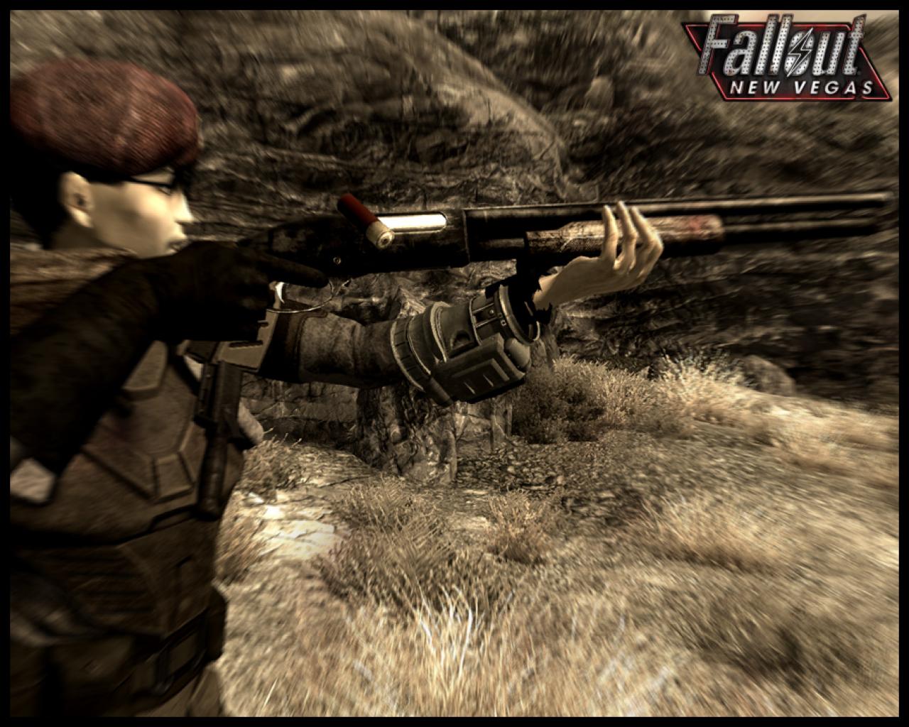 [12/11/2010] Update vom 12.11.: Fallout New Vegas by burns (2)