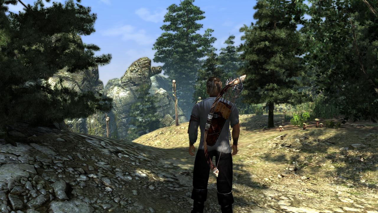 [10/11/2010] Two Worlds 2 FLOP Reloaded: Kein AF im Hintergrund in Kombination mit Parallax Occlusion Mapping