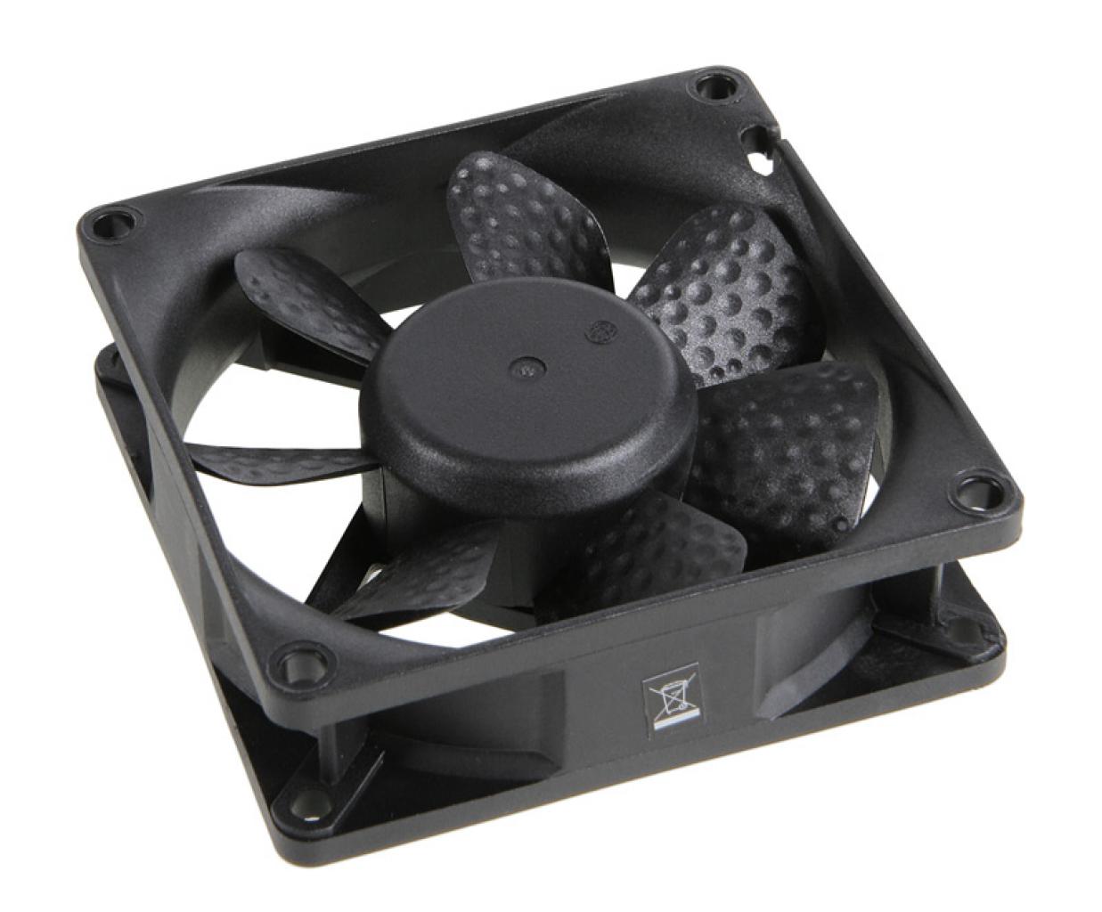 [24/11/2010] Zaward Golf I II Fan (2)