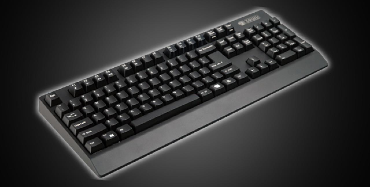 [10/11/2010] Zowie Celeritas (4)