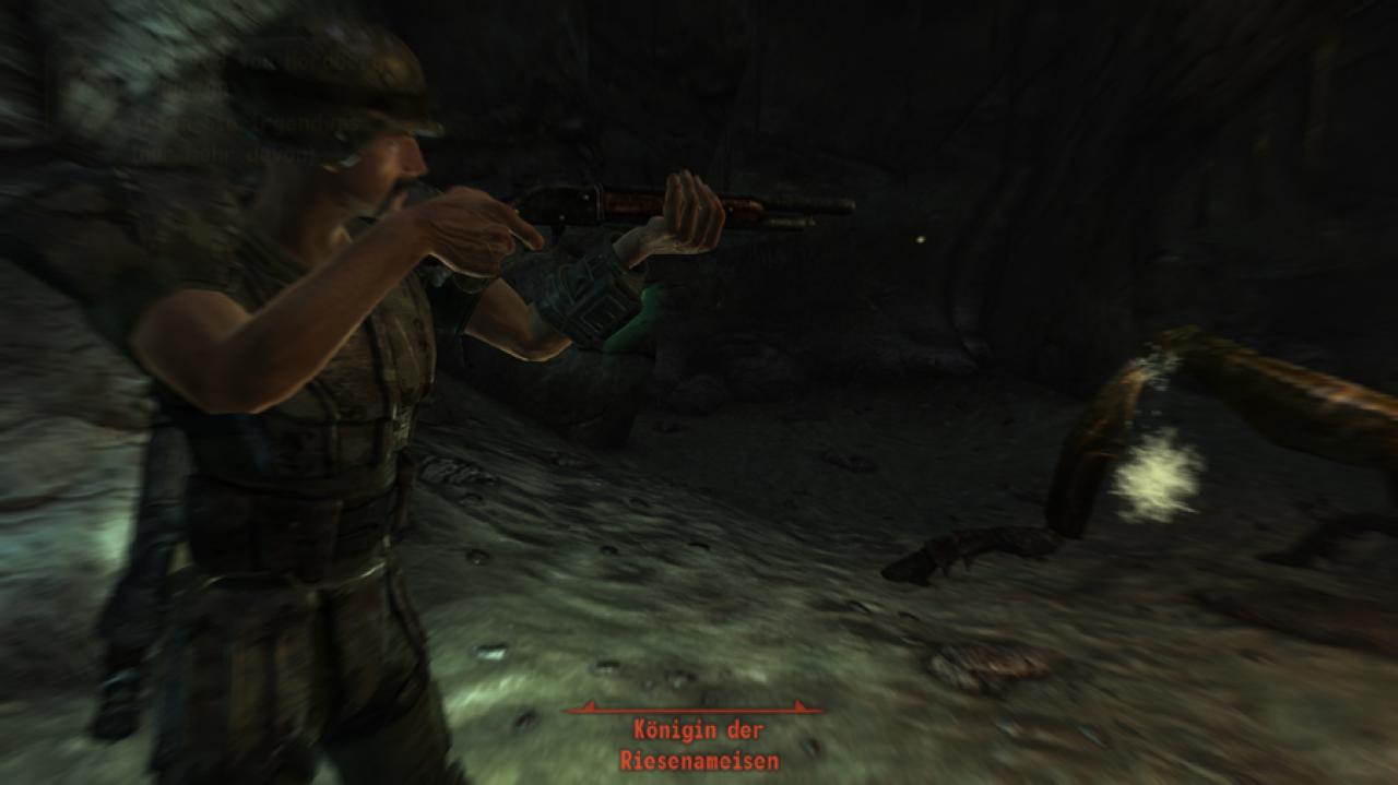 [12/11/2010] Update vom 12.11.2010: Fallout New Vegas by Rosstaeuscher (3)