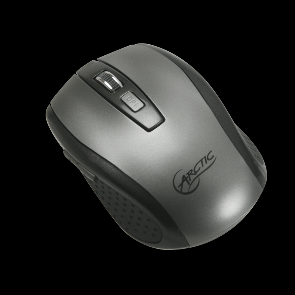 [27/12/2010] Arctic M361 002