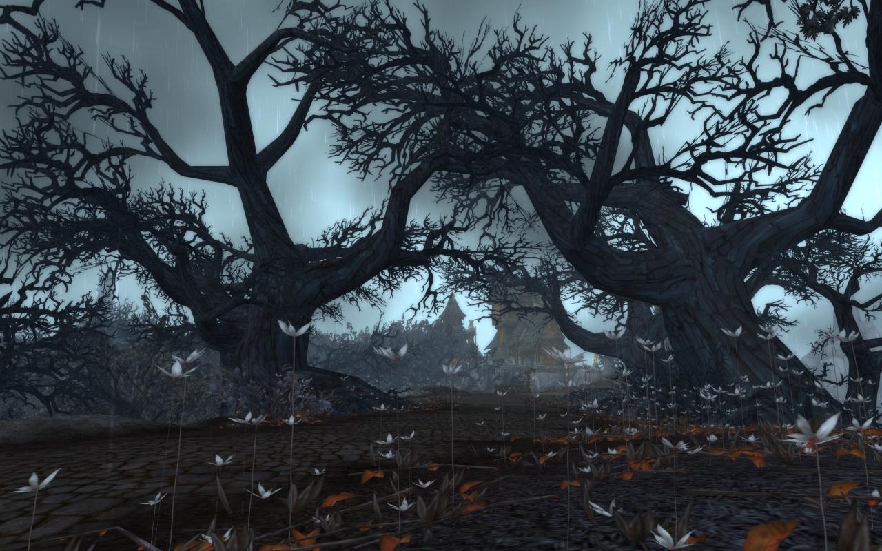 [12/12/2010] WoW Cataclysm: 13 Radeon- und Geforce-Grafikkarten im Benchmark-Test (5)