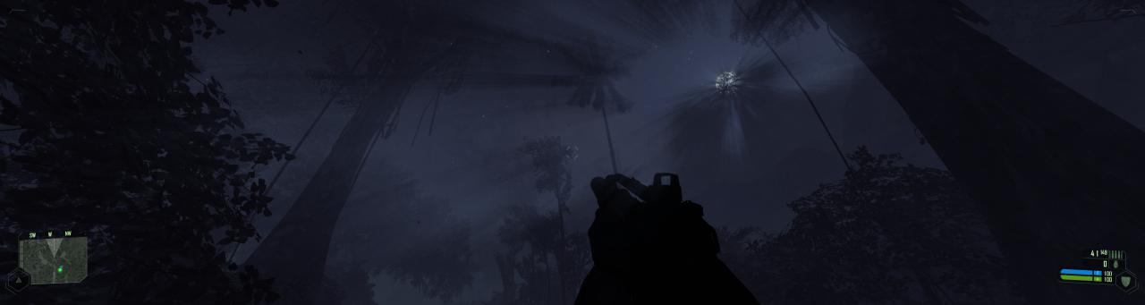 [03/12/2010] Crysis