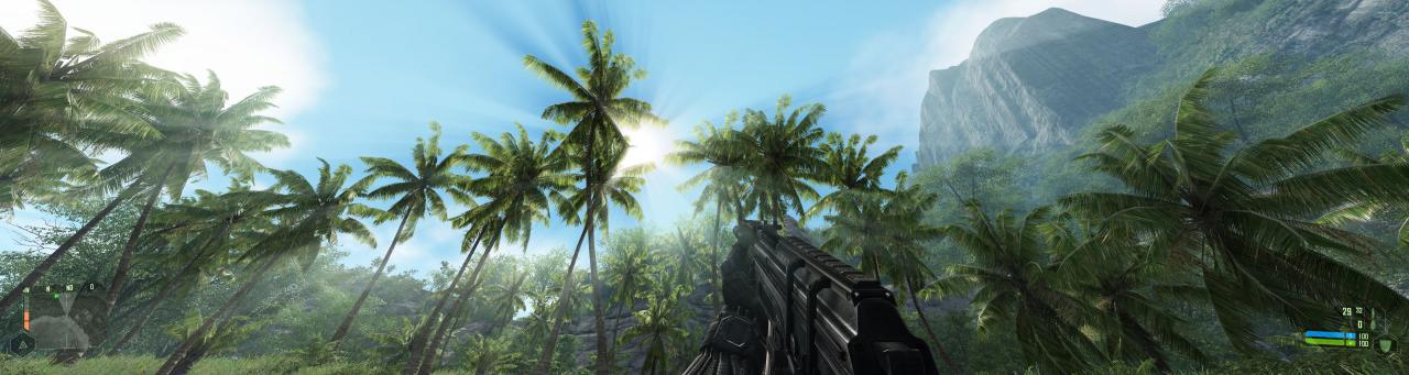 [03/12/2010] Crysis