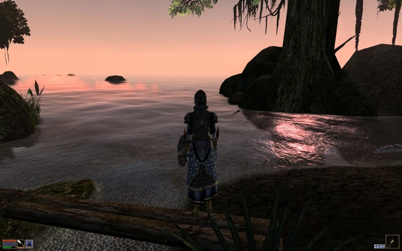 [28/01/2011] 2002: TES III Morrowind hatte das Quecksilberwasser. Jaja, aber es sicht doch ganz net aus, oder? Vor allem 2002, als Wasser normalerweise eine blau-weiße Pampe war, die mehr an Kloake erinnerte.