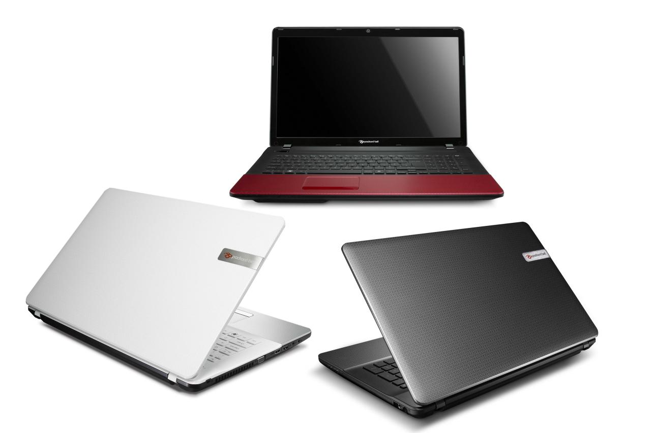 [13/01/2011] Packard Bell S-Serie 001