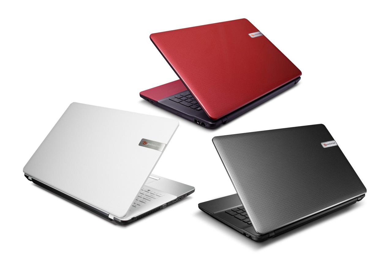 [13/01/2011] Packard Bell S-Serie 002