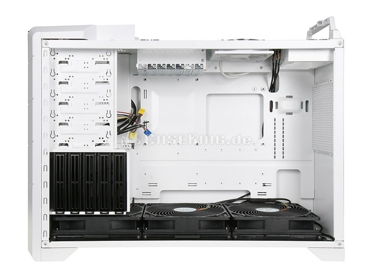 [17/01/2011] 2011 Silverstone Raven 2 Evolution: Das Raven bietet neben einer außergewöhnlichen Optik auch ein interessantes Innenraumkonzept, dass sich von der Konkurrenz unterscheidet.