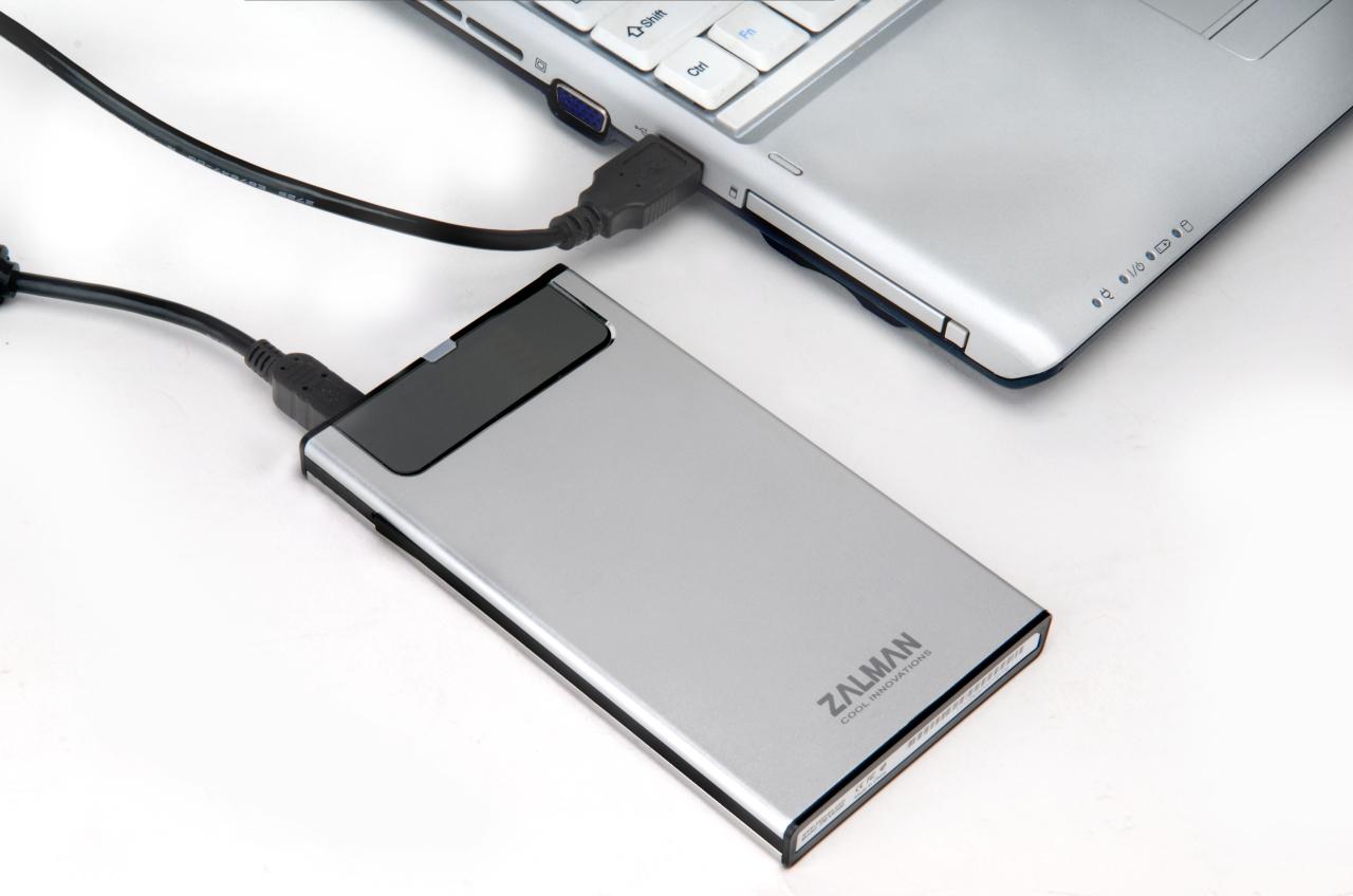 [17/01/2011] Zalman ZM HE100 016