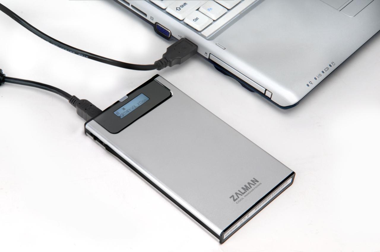 [17/01/2011] Zalman ZM VE200 004