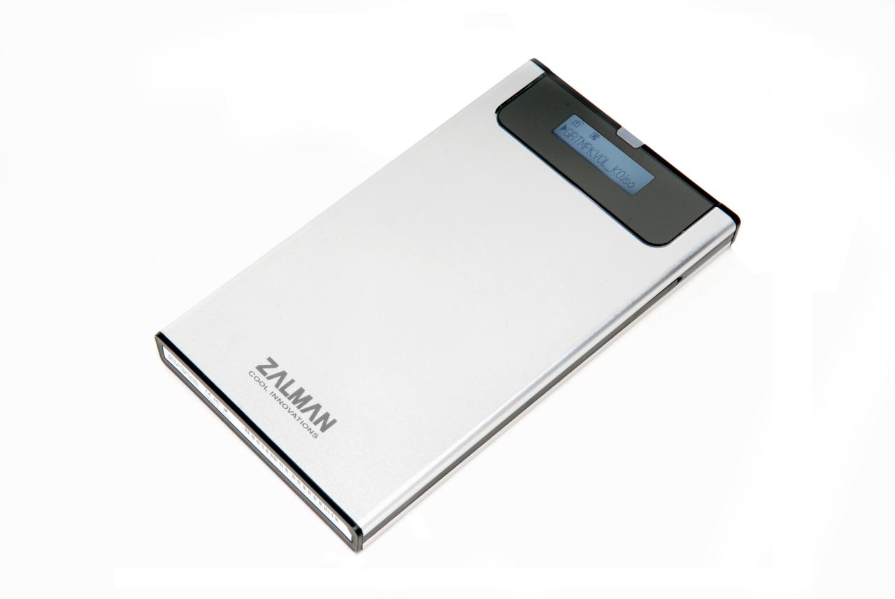 [17/01/2011] Zalman ZM VE200 005
