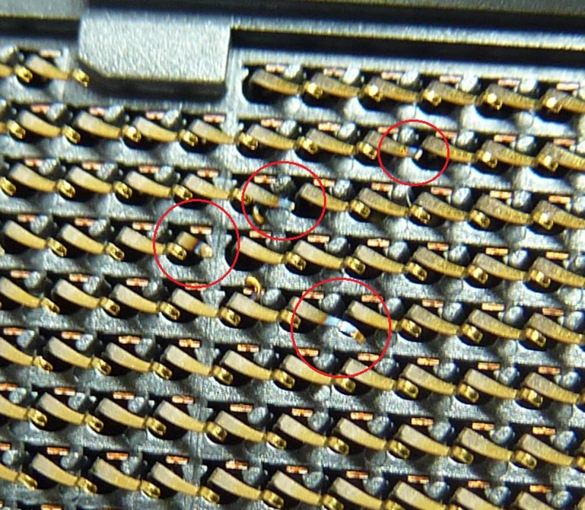 [15/01/2011] Sockelbrand: Auch Sockel-1155-Mainboards für Sandy Bridge betroffen? (3)